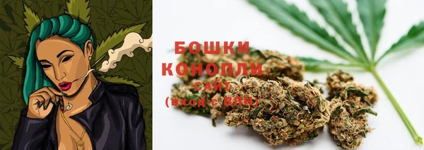 винт Бородино