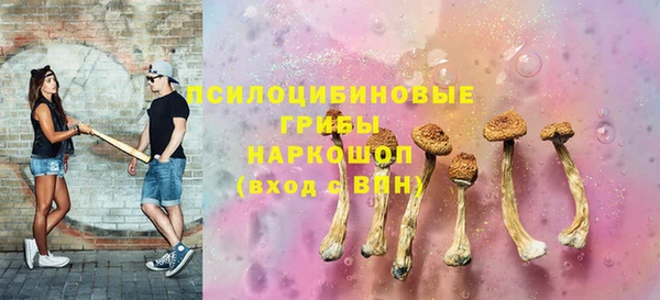 винт Бородино