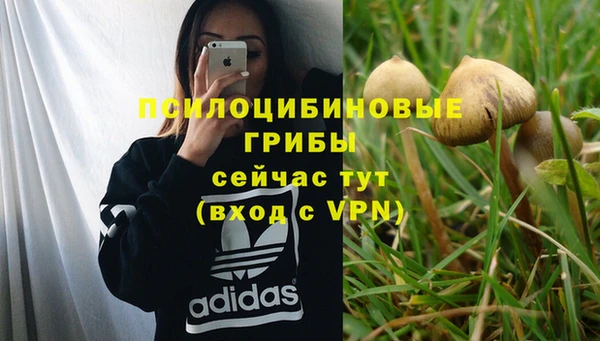 винт Бородино