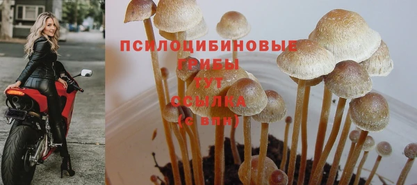 мдпв Тавда