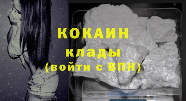 винт Бородино
