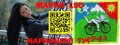 амф Донской