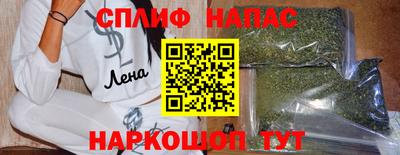 амф Донской