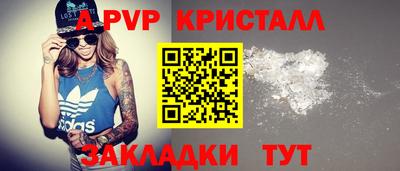 амф Донской