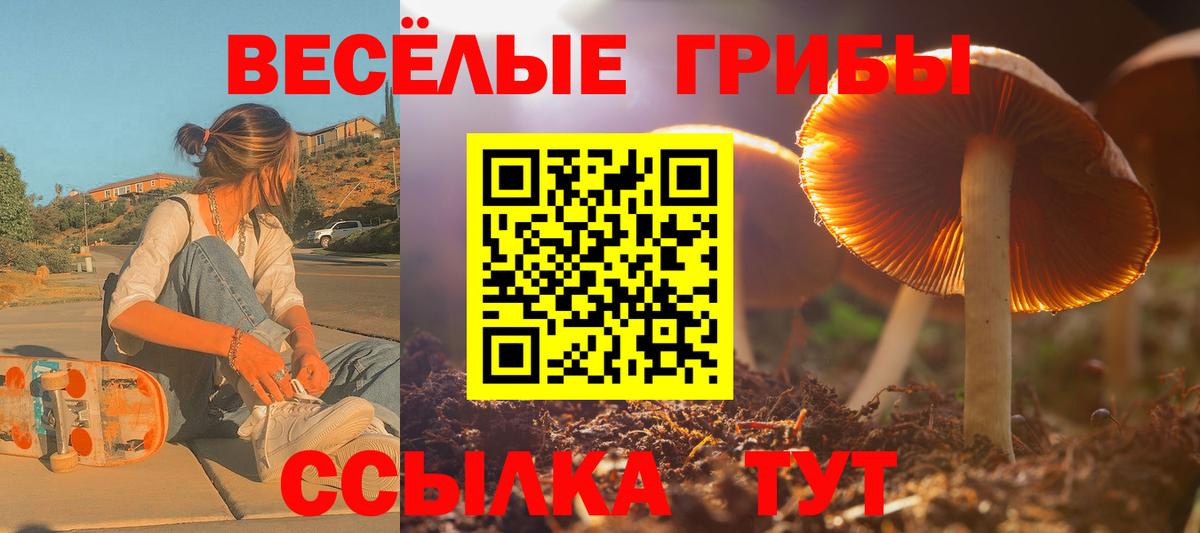 что такое   Галлюциногенные грибы Magic Shrooms  Вход с VPN  Можайск 
